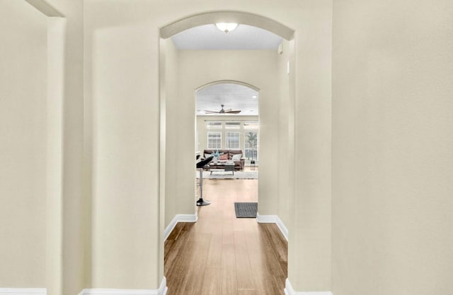 hallway with wood-type flooring