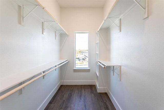 spacious closet with dark wood-style floors