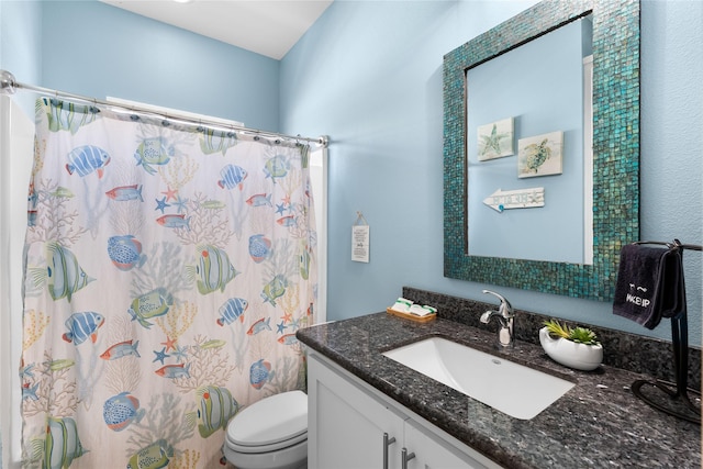 full bathroom featuring vanity, a shower with shower curtain, and toilet