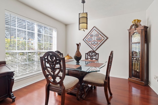 dining room featuring a healthy amount of sunlight and dark hardwood / wood-style flooring