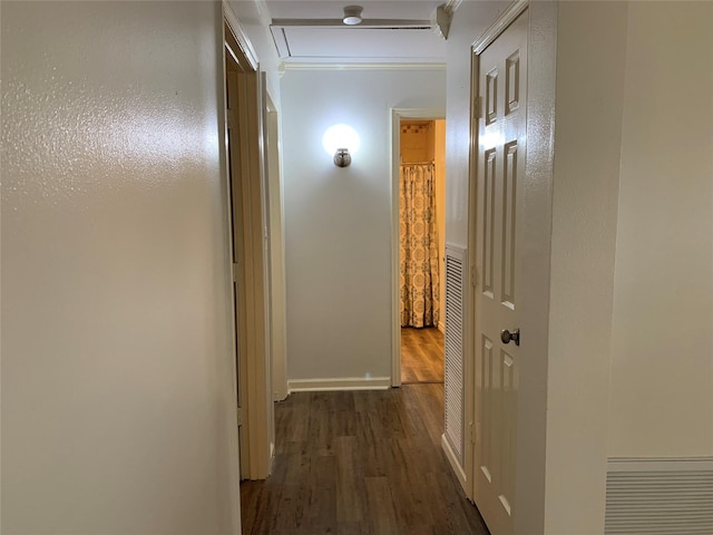 hallway featuring dark wood-type flooring and ornamental molding