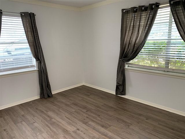 spare room with plenty of natural light and dark hardwood / wood-style floors