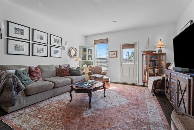 living room featuring dark wood-type flooring