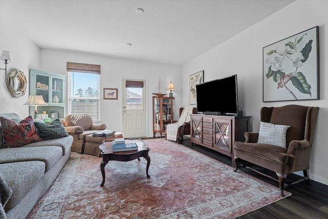 living room featuring dark wood-type flooring