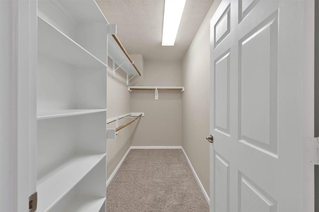 spacious closet featuring light colored carpet