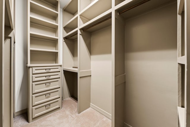 spacious closet with light colored carpet