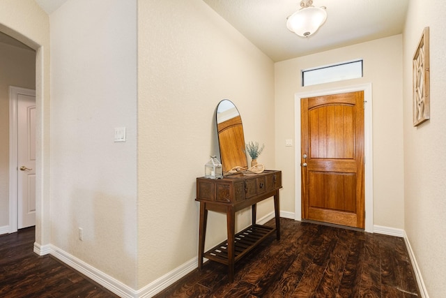 foyer entrance featuring dark wood-type flooring