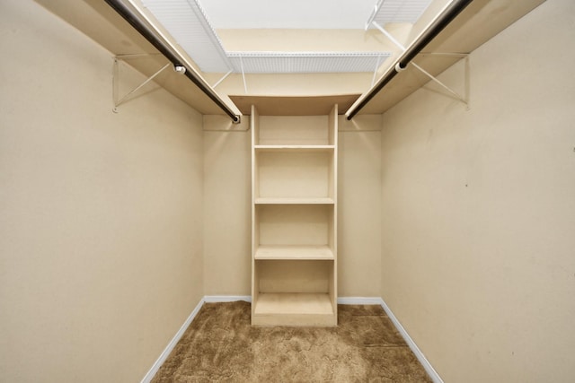 spacious closet with carpet