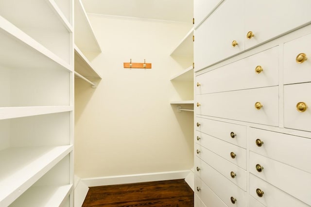 302 E Jackson St, West Columbia, TX 77486 - spacious closet featuring dark hardwood / wood-style floors