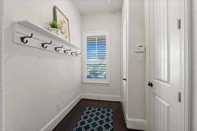 mudroom with dark hardwood / wood-style flooring