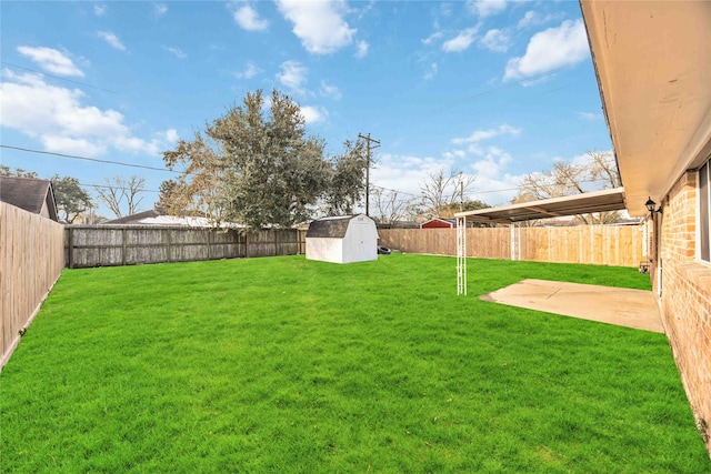 view of yard with a patio area and a storage unit