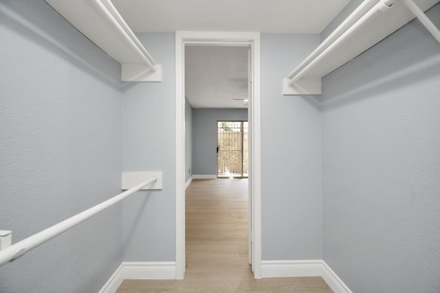 spacious closet with light wood-type flooring