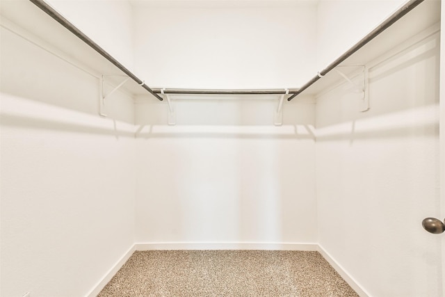 spacious closet featuring carpet flooring