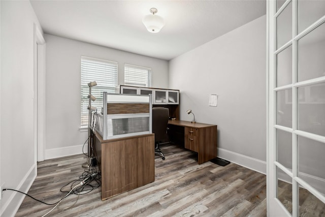 office featuring wood-type flooring