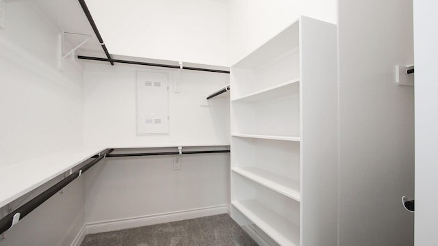 spacious closet with carpet floors