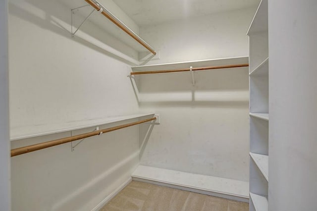 spacious closet featuring light carpet