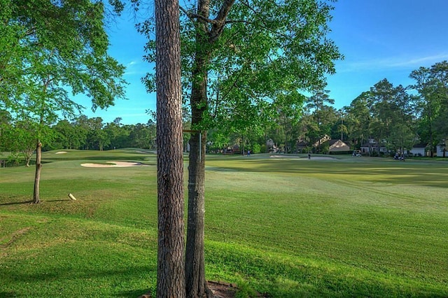 view of property's community featuring a lawn