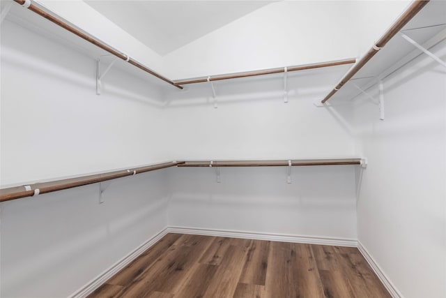 spacious closet with dark hardwood / wood-style flooring and lofted ceiling