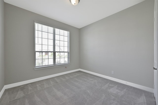 empty room featuring carpet floors