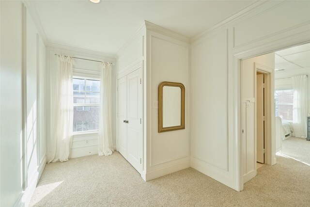 spacious closet featuring light colored carpet