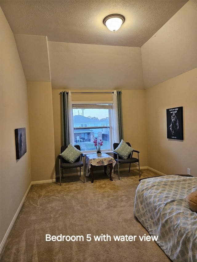 carpeted bedroom with lofted ceiling and a textured ceiling