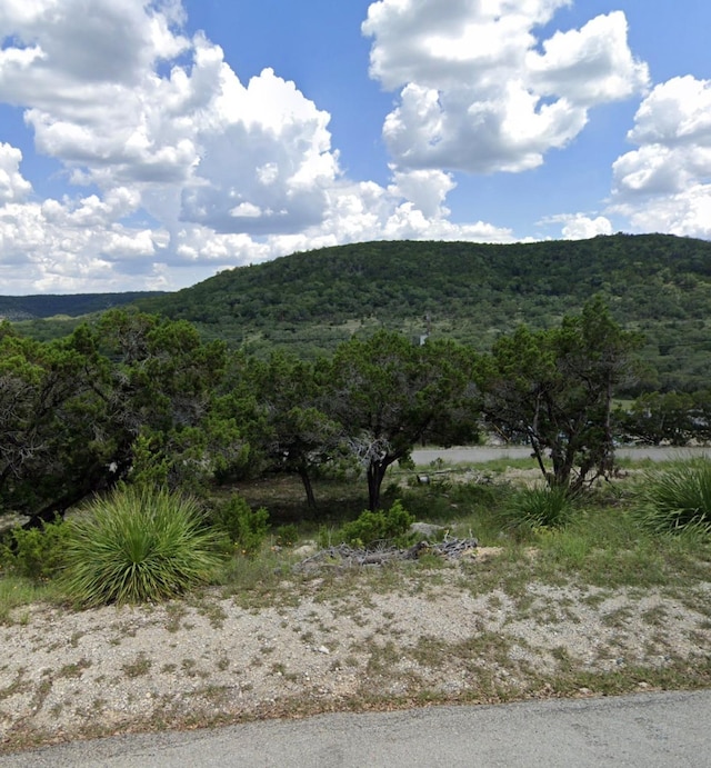 659 Contour Dr, Canyon Lake TX, 78133 land for sale