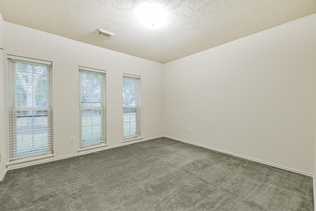 carpeted empty room with a textured ceiling and a wealth of natural light