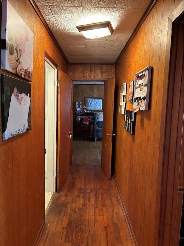 hall featuring dark wood-type flooring and wooden walls