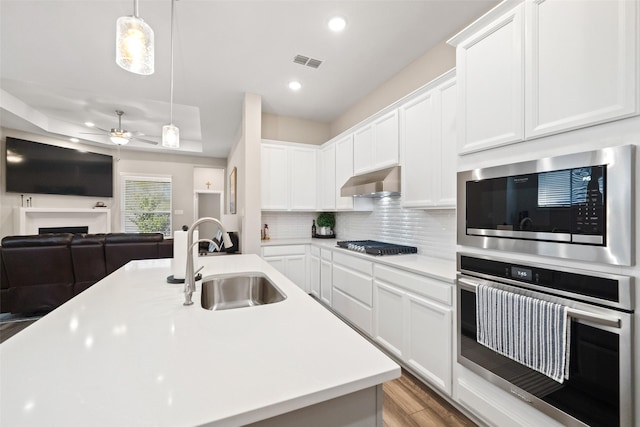 kitchen featuring visible vents, a ceiling fan, a sink, under cabinet range hood, and appliances with stainless steel finishes