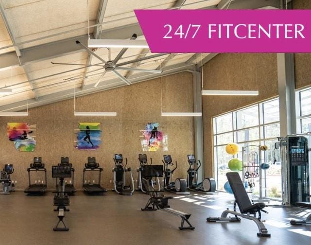 15527 Sunset Maple Ct, Conroe, TX 77302 - gym featuring high vaulted ceiling