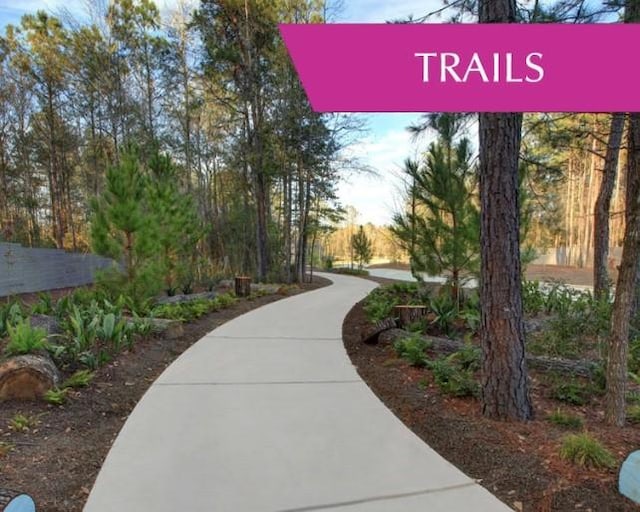 15527 Sunset Maple Ct, Conroe, TX 77302 - view of property's community