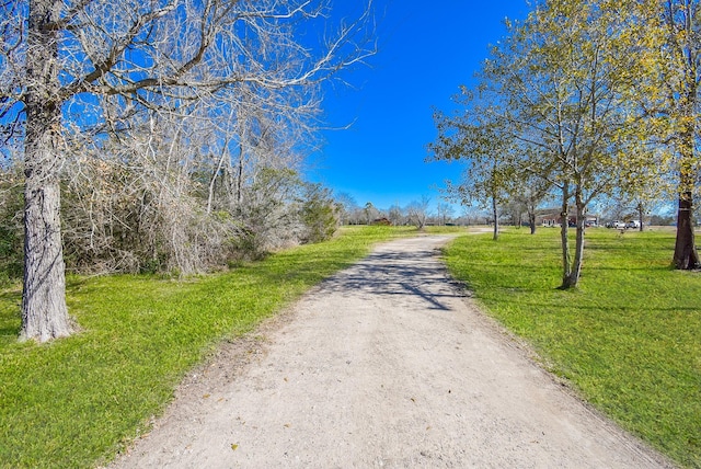 13400 Fm 359th Rd, Hempstead, TX 77445 - photo 44