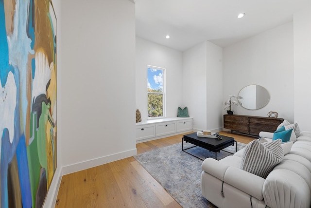 living room featuring light hardwood / wood-style flooring