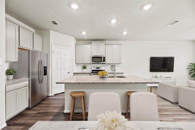 kitchen featuring stainless steel appliances, an island with sink, sink, and light stone counters