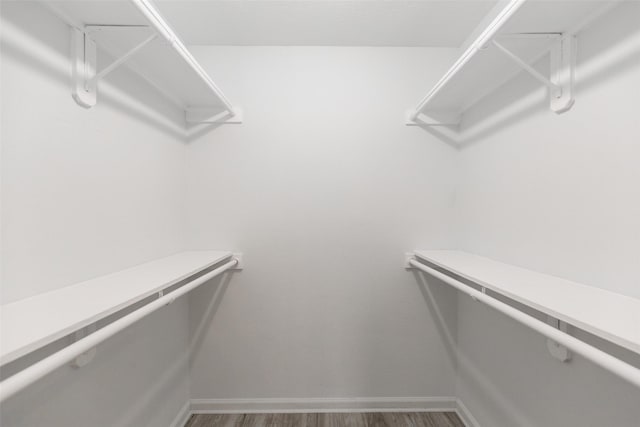 spacious closet featuring wood finished floors