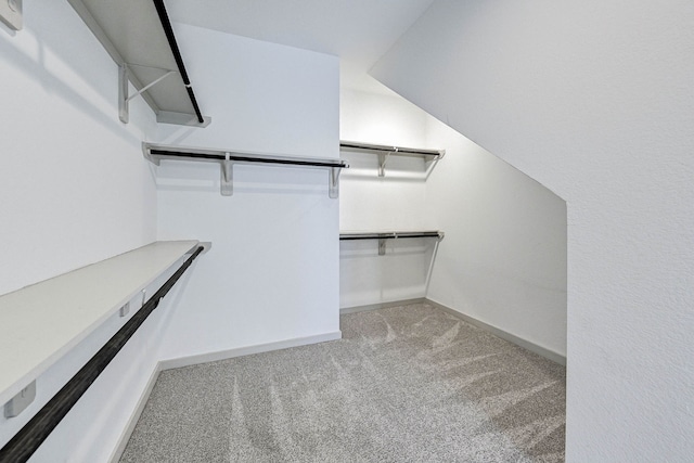 spacious closet featuring light colored carpet