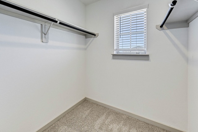 walk in closet with carpet flooring