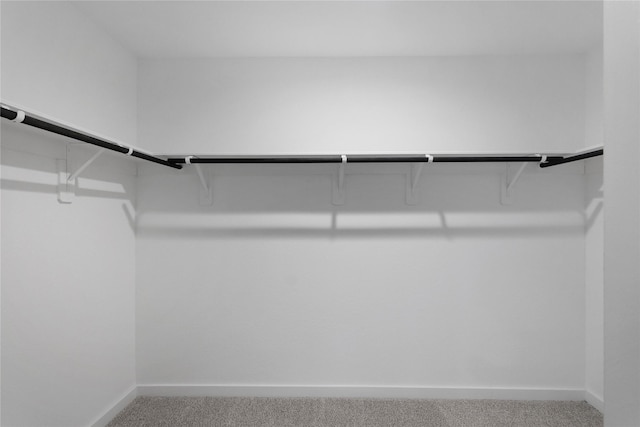 walk in closet with carpet