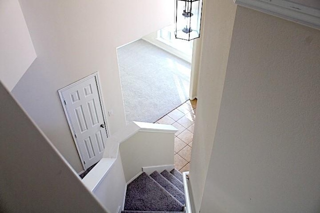 staircase with carpet