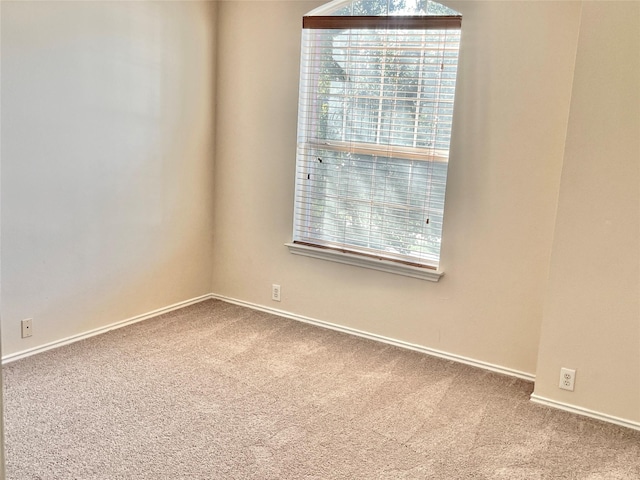 unfurnished room with carpet and a wealth of natural light