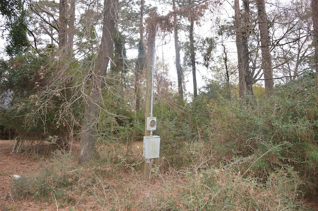 view of local wilderness