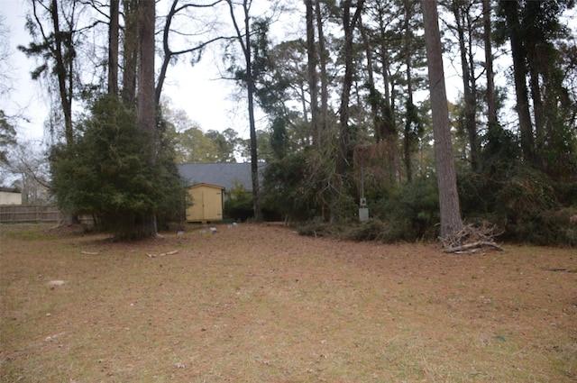 view of yard with a storage unit