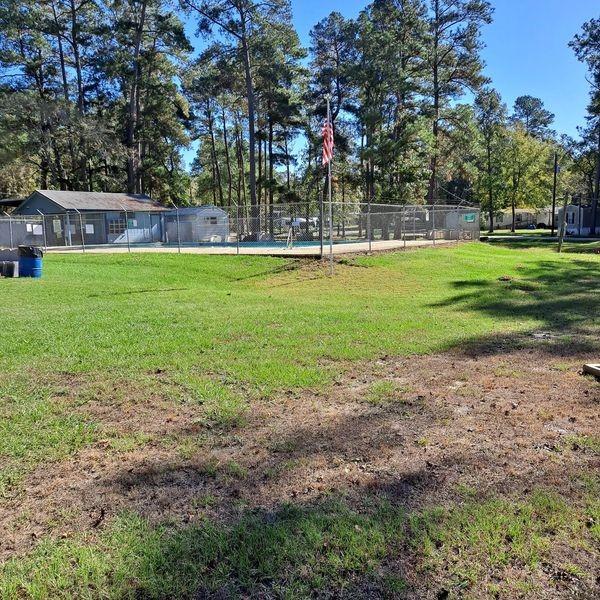 view of yard featuring a pool