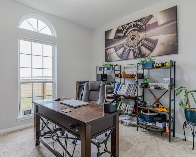 home office featuring light colored carpet