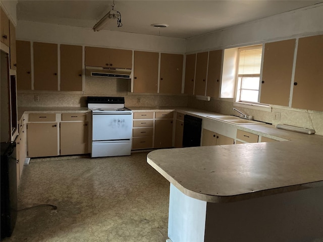 kitchen featuring sink, electric range, kitchen peninsula, and black dishwasher