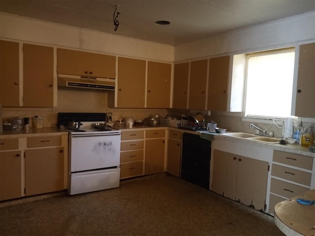 kitchen featuring white electric range oven, black dishwasher, and sink