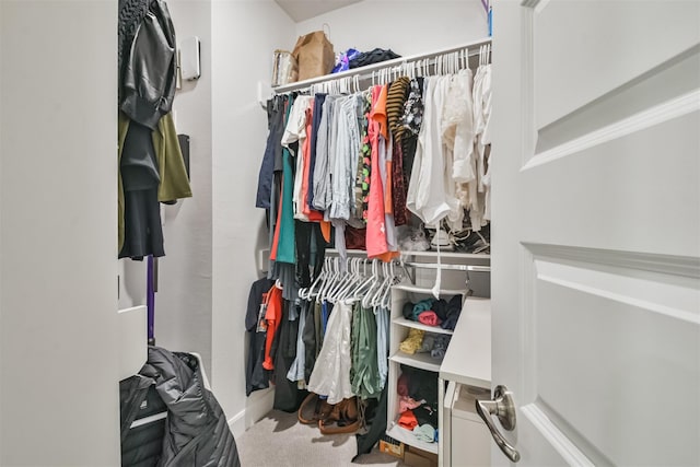 spacious closet featuring carpet floors