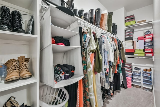 spacious closet with carpet