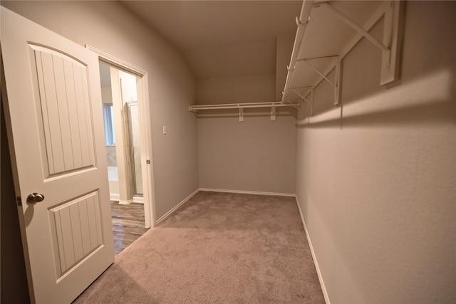 spacious closet with lofted ceiling and carpet flooring