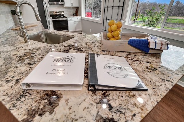 room details with sink, appliances with stainless steel finishes, backsplash, light stone counters, and white cabinets